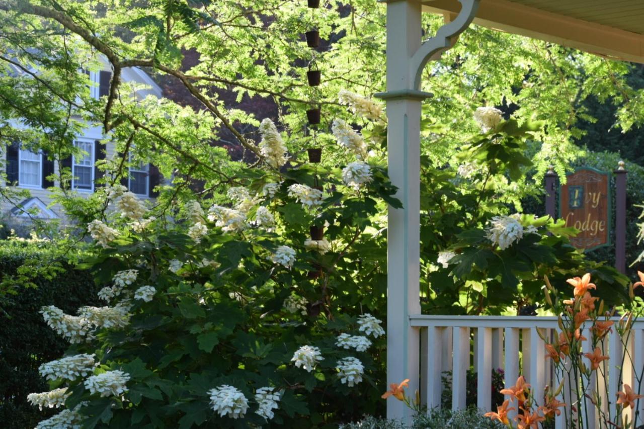 常青藤小屋酒店 纽波特 外观 照片
