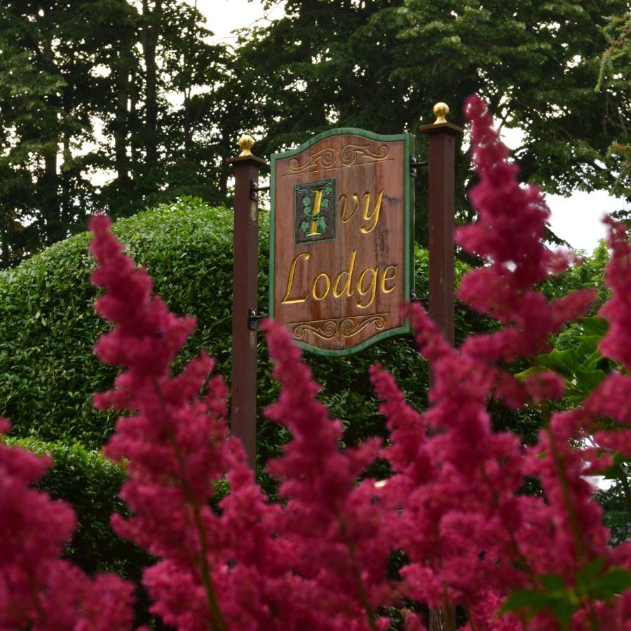 常青藤小屋酒店 纽波特 外观 照片